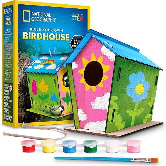 National Geographic Build Your Own Wooden Birdhouse Craft Kit for Kids