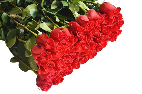 Blooms2Door-50 Red Rose Bouquet, Flowers for Valentine, Mother's Day