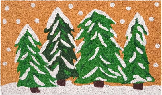 Calloway Mills 122252436 Winter Wonderland Doormat, 24" x 36", Multicolor