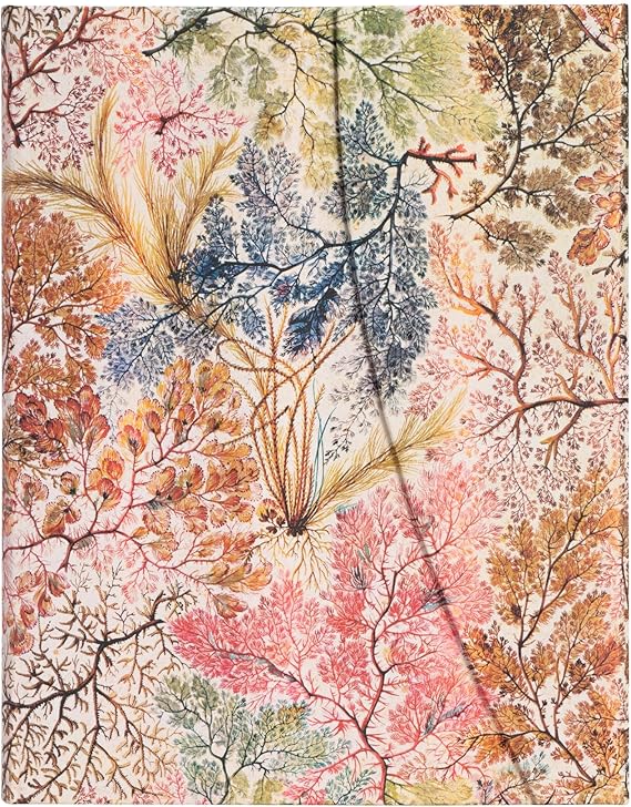 Anemone Ultra Lined Hardcover Journal, 144pg, 120GSM by Paperblanks (William Kilburn)
