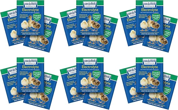 Poultry Electrolyte & Vitamin Supplement, .25-oz.
