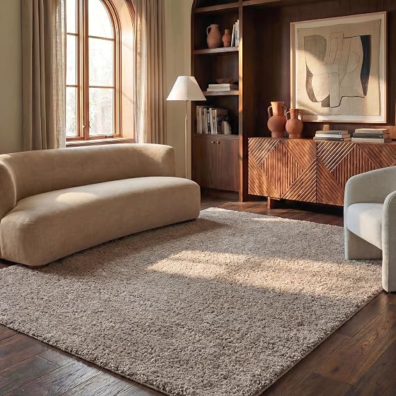 SAFAVIEH Area Rug 8x10 - Athens Shag Collection - Large - Beige, Non-Shedding & Easy to Clean, Ideal for Living Room, Bedroom, Dining Space (SGA119G)