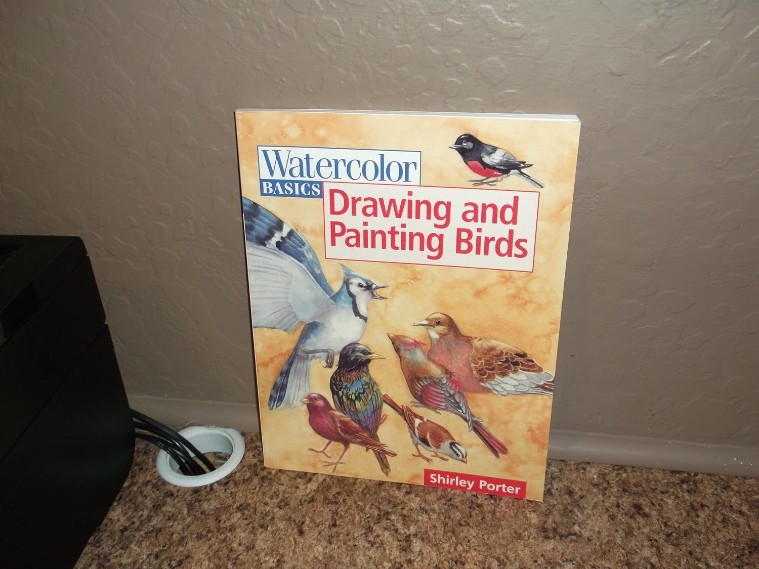 Watercolor Basics Drawing and Painting Birds Paperback – January 1, 2000
